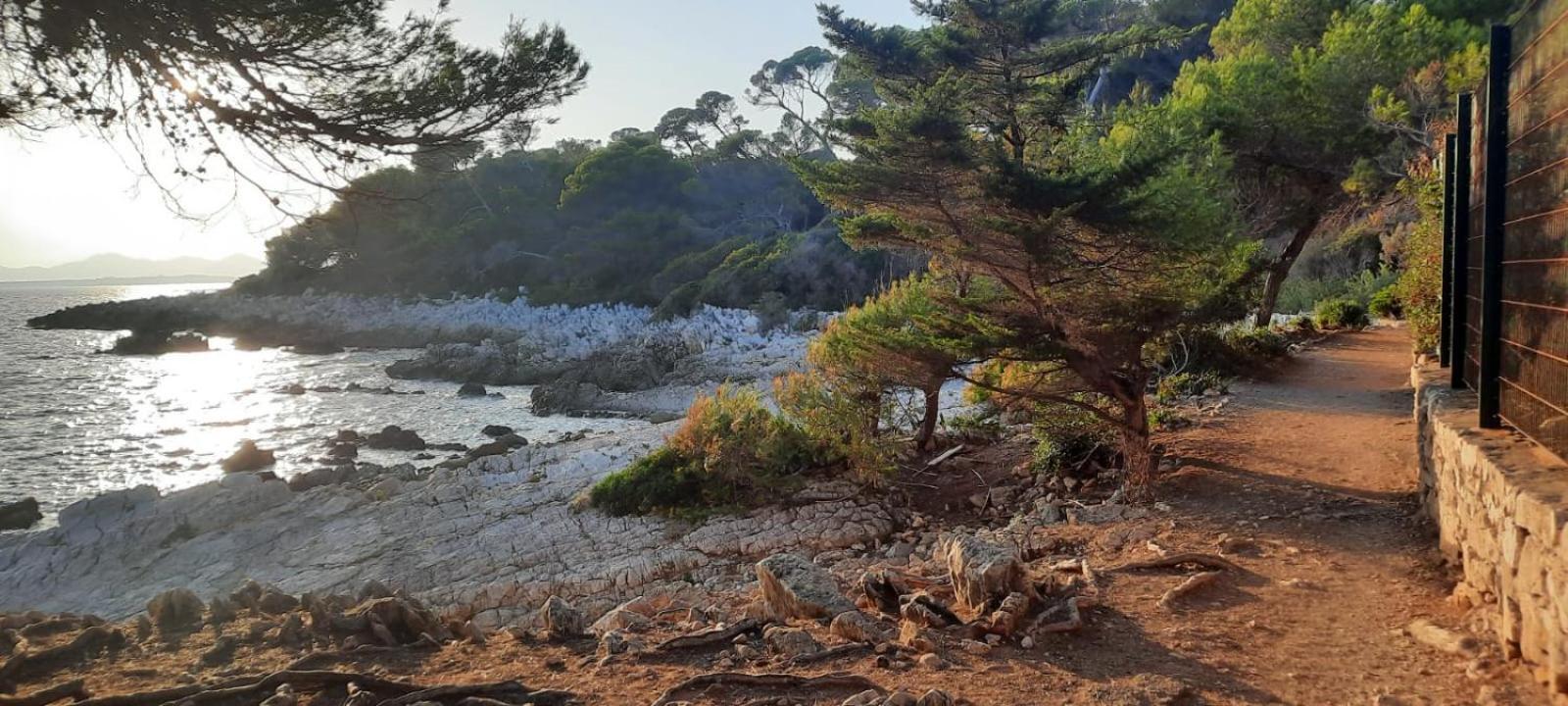 Studio Sun-Beach Avec Parking Et Jardin - 500M Des Plages De Juan Les Pins Antibes Extérieur photo